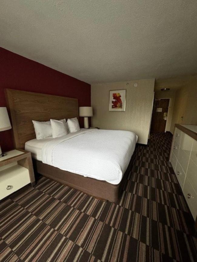 מלון Ramada Plaza By Wyndham Charlotte South End Airport מראה חיצוני תמונה